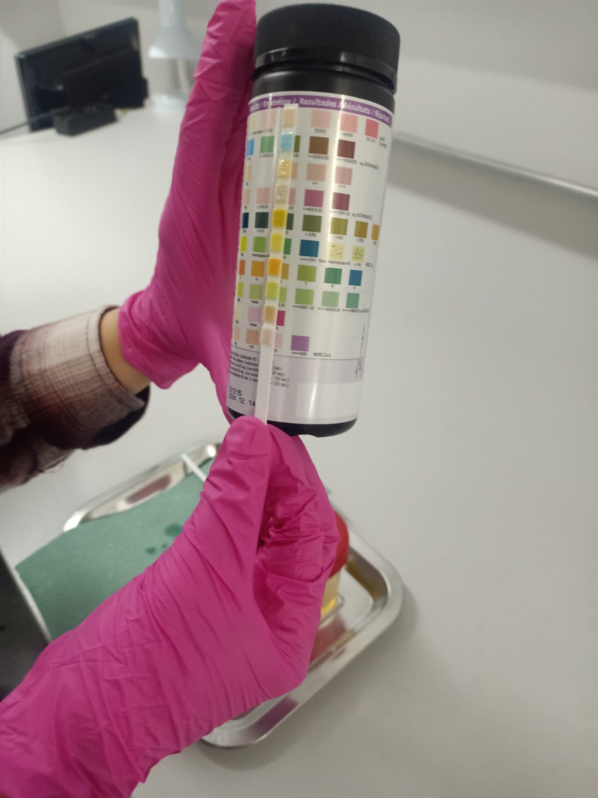 Zajęcia z diagnostyki weterynaryjnej