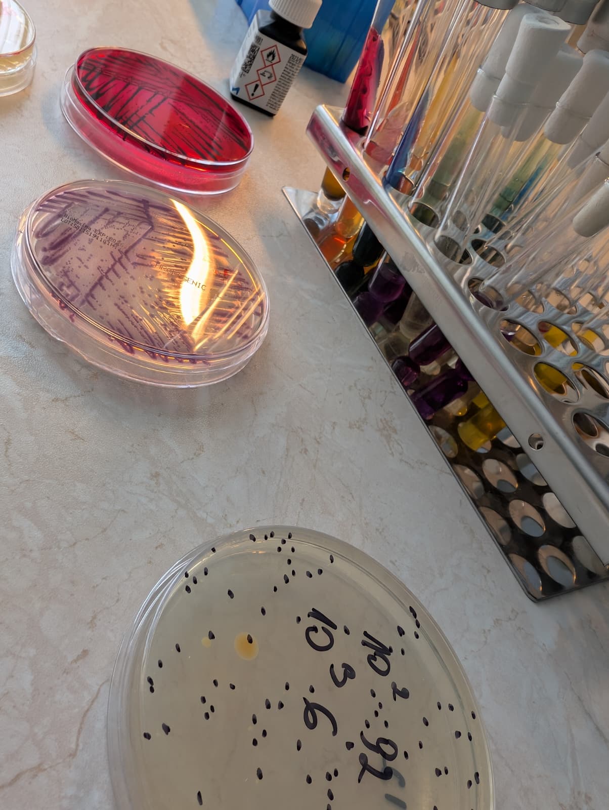 Wizyta w laboratorium